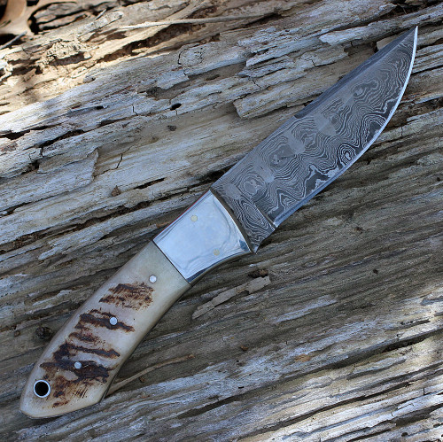 Damascus 1050RM Hunter, 4" Damascus Plain Blade, Ram's Horn Handle