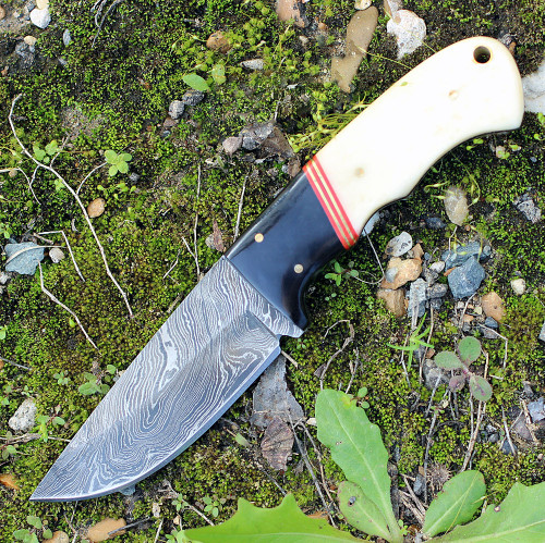 Damascus 1068 Skinner, 3.75" Damascus Plain Blade, Smooth White Bone Handle