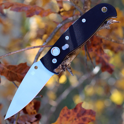 Spyderco Autonomy 2 C165GP2 open profile