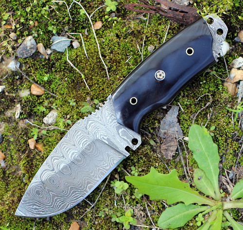 Damascus 1128HN Fixed Blade, 3.5" Damascus Plain Blade, Buffalo Horn Handle