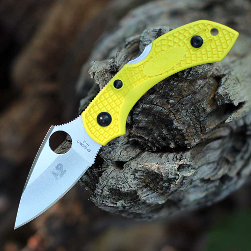 Spyderco Dragonfly2 Salt | C28PYL2 | Knifeworks
