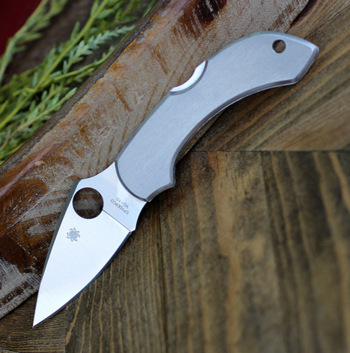 Spyderco Dragonfly C28P 2.31" VG‑10 plain blade stainless handle