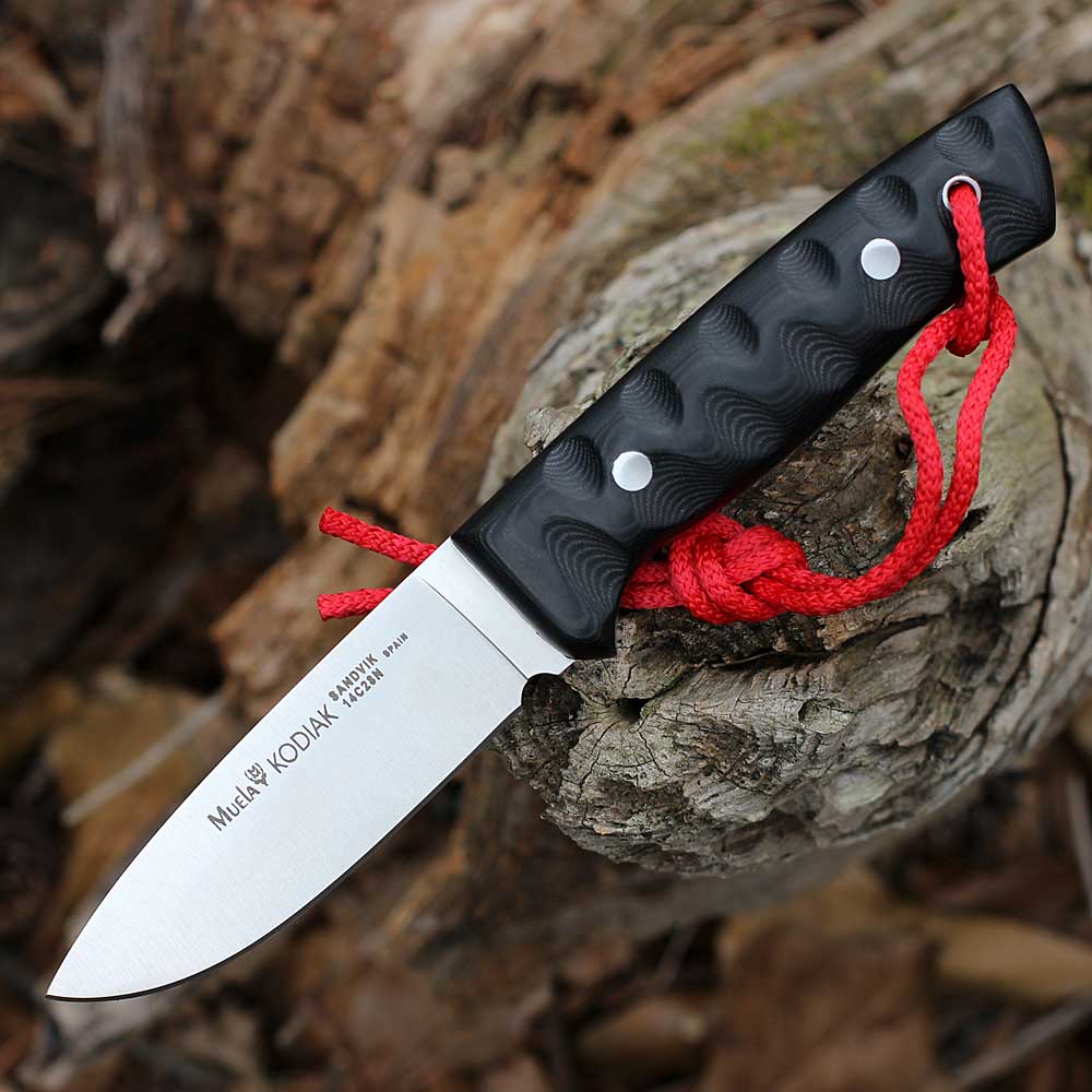 ヘレナモルフォ　120mm Muela Kodiak 4.10