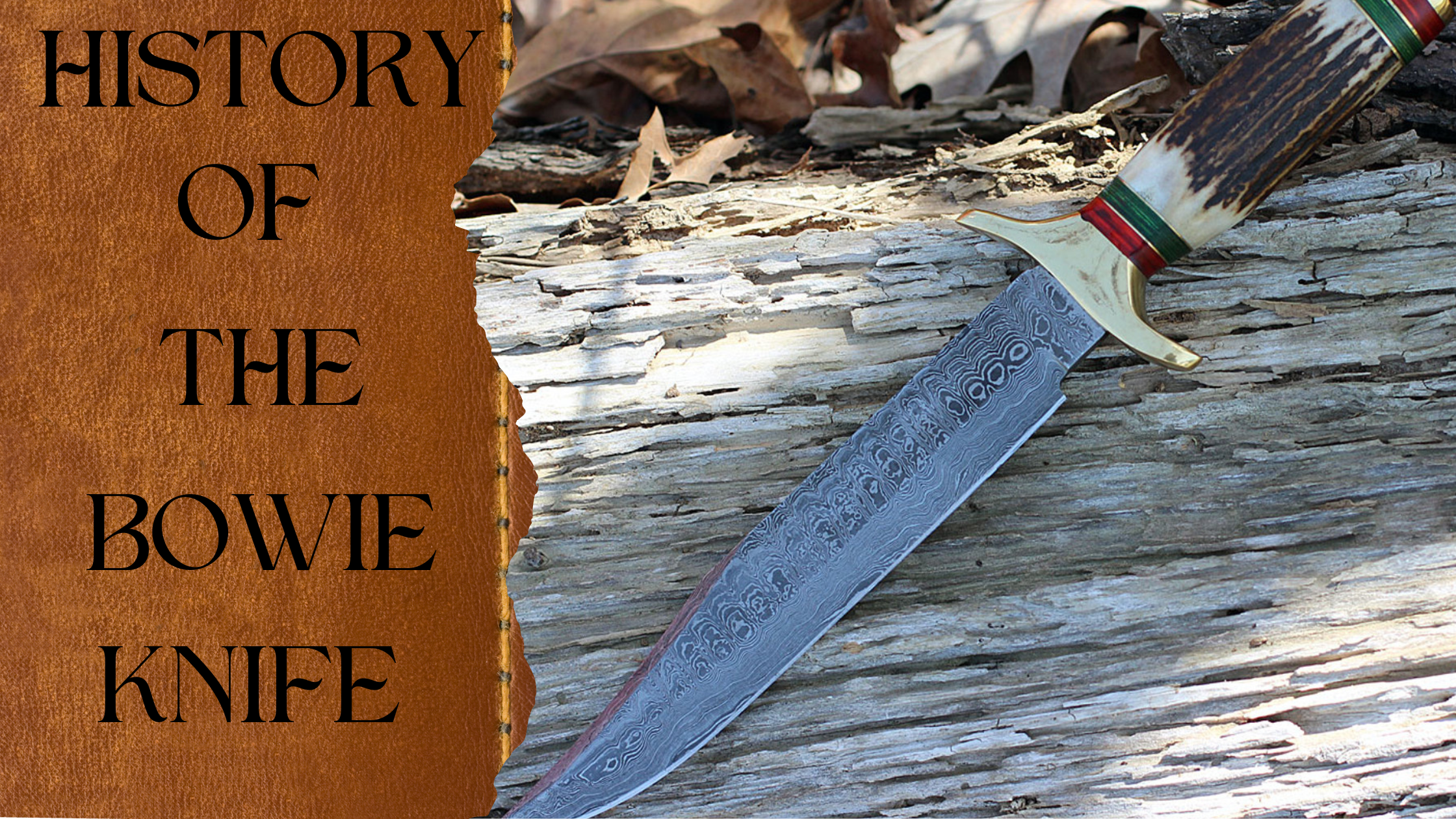 History of the Bowie Knife