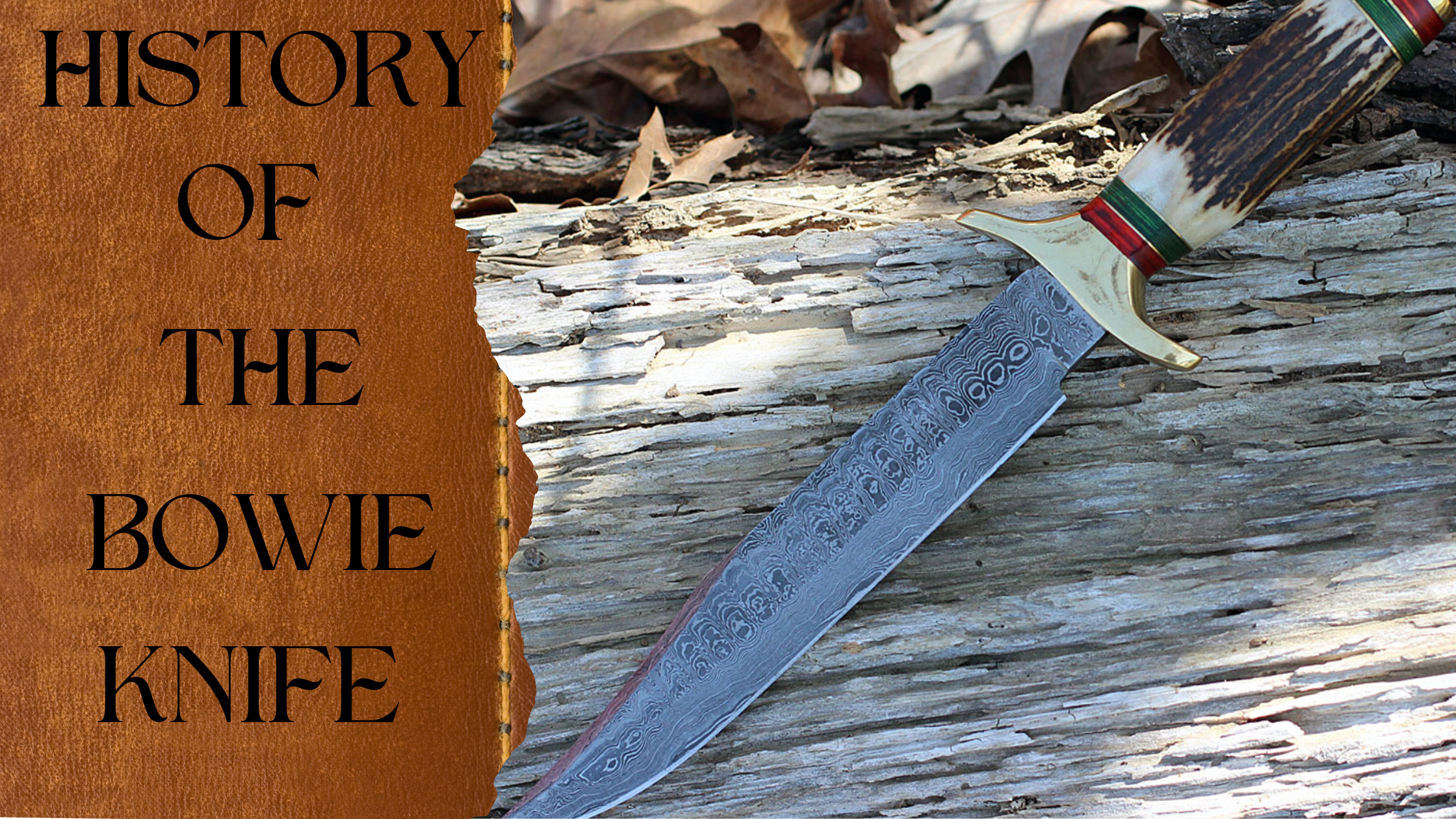 original bowie knife design