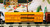 6356 New York Central Bi-Level Stock Car (7++)