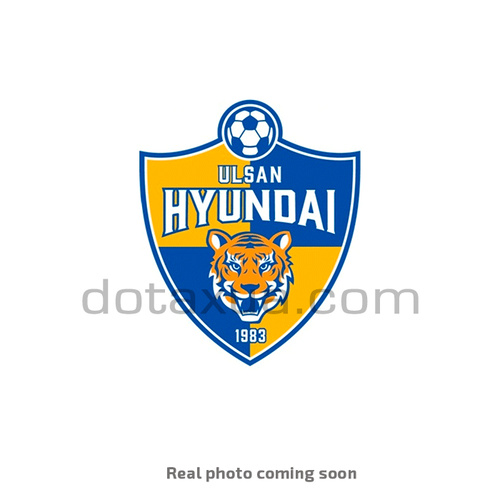 Ulsan Hyundai South Korea Pin