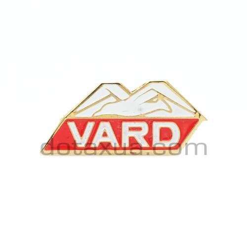 SK Vard Norway Pin