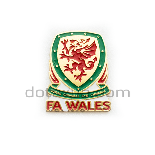 Wales Football Federation 1 UEFA Pin