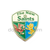 The New Saints Wales Pin