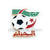 Algeria Football Federation CAF Pin