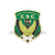 CS Constantine Algeria Pin