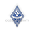 SV Waldhof Mannheim Germany Pin