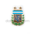 Argentina Football Federation CONMEBOL Pin 