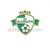 FC Karpaty Lviv Ukraine Pin