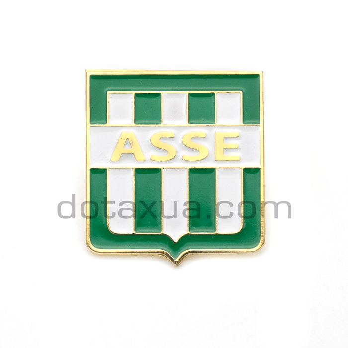 AS Saint-Etienne France Pin