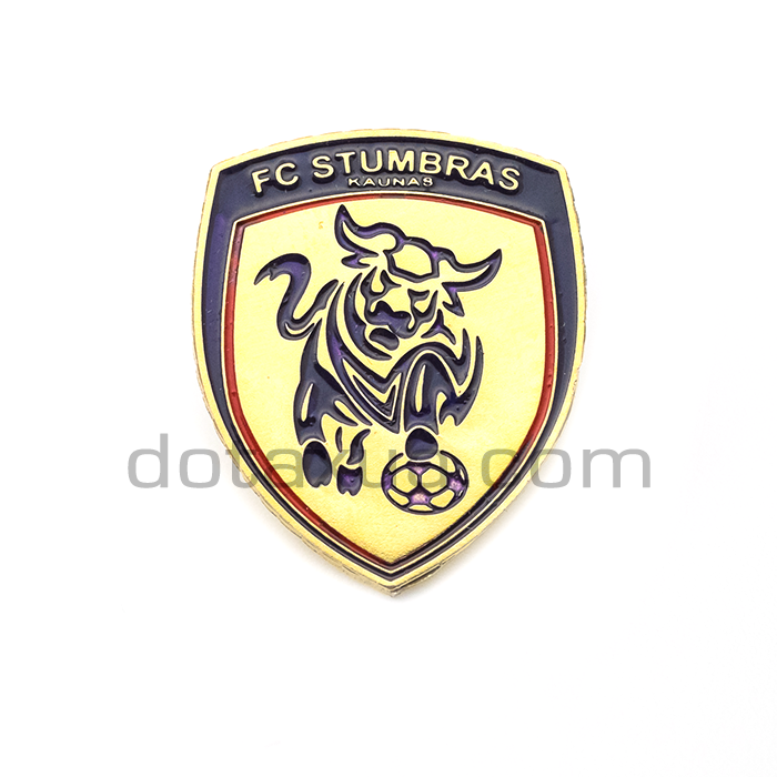 FK Stumbras Kaunas Lithuania Pin