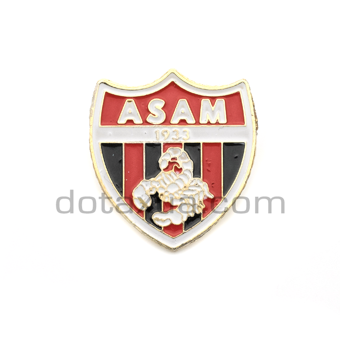 Association Sportive Ain M'lila Algeria Pin