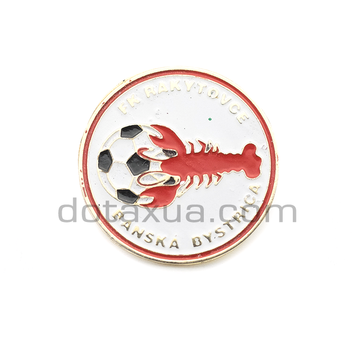 FK Rakytovce Banska Bystrica Slovakia Pin