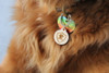 Pheropaw anti coyote for big dogs