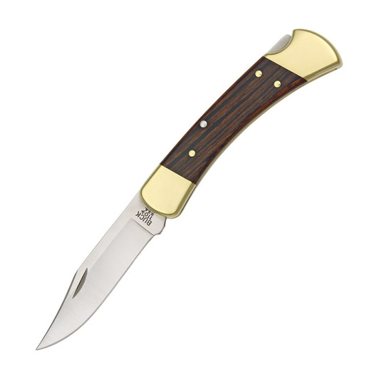 Buck 110 Hunter Lockback Knife with Sheath
