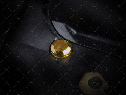 Strike Industries Enhanced Pivot / Takedown Pins in Gold Coating Strike Industries Enhanced Pivot / Takedown Pins in Gold Coating