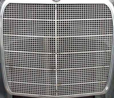 Genuine Mercedes-Benz Front Grille Screen W110 W111 W112