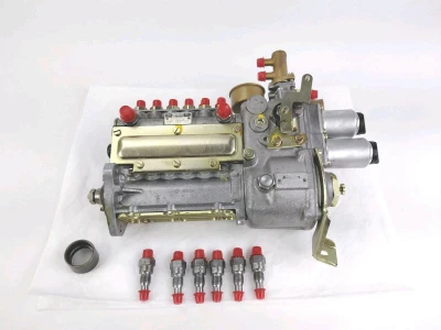 Fuel Injection Pump & Injectors, 280SL Pagoda