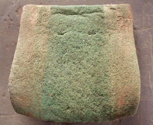 Genuine Mercedes-Benz Front Seat Back Cushion Horsehair W116 W123 Sedan Wagon