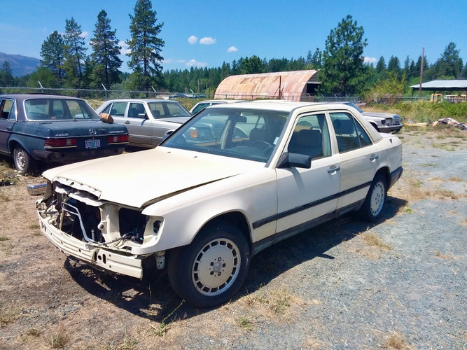 Cars In The Yard: 1989 300E W124