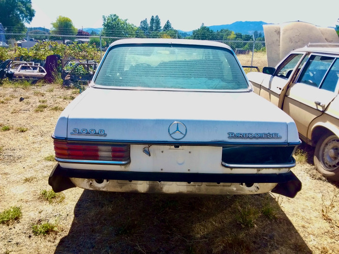 Cars In The Yard: 1983 300D Turbo  Cars In The Yard: 1983 300D Turbo