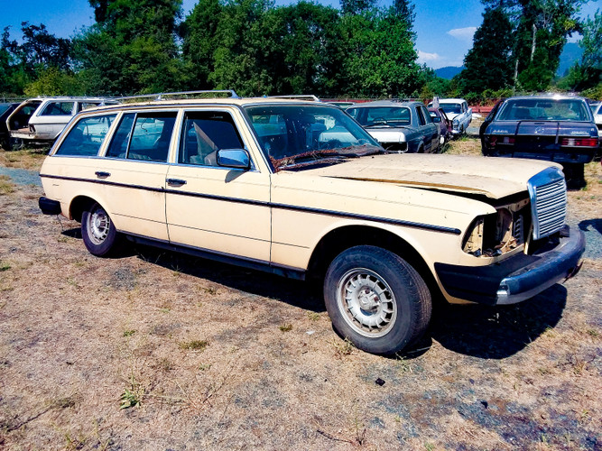 ​Cars In the Yard: 1984 W123 300TD
