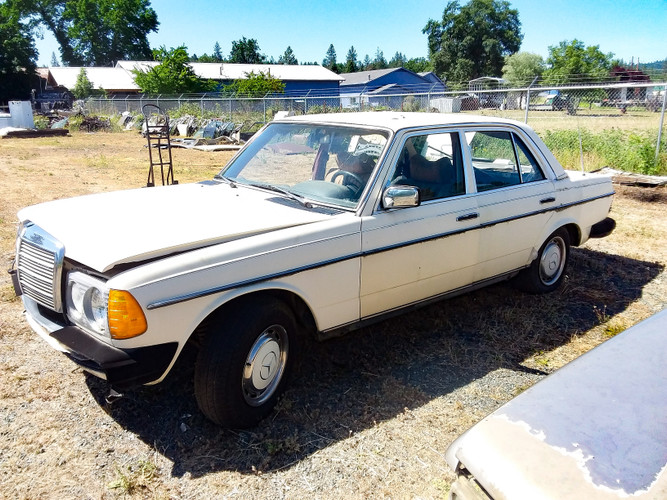 Two W123 300D's In the Yard