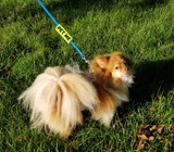Water Resistant Snap Leash Wrap - Click for colors