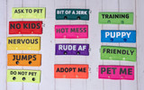 Water Resistant Snap Leash Wrap - Click for colors Water Resistant Snap Leash Wrap - Click for colors