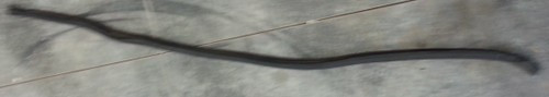 Cowl Panel Rubber Engine Molding  1989 90 91 92 93 94 95 96 1997 Thunderbird