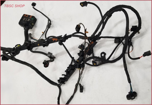 1999 Jaguar XJ8 J8L VDP 4.0L V8 Engine Fuel Wire Harness LNE3320AG