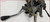 1995 1996 1997 GRAND MARQUIS Steering Column with Tilt Shifter Column Shift