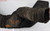 1992 1993 1994 Ford Ranger L4 2.3L F37E-9A673-EA Air Cleaner Intake Tube Hose F27E-9A673-AA