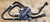 1999 2000 Jaguar XK8 Evap Canister Purge Valve and Hoses LJB1515AA