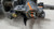 1994 1995 1996 Ford F150 F250 F350 Steering Floor Shift Manual Transmission