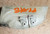 1997 1998 1999 Jaguar X100 XK8 Rear RH LH Seat Belt Trim NED