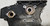 1995 1996 1997 Jaguar XJ6 Engine Timing Chain Cover NBC2110AA