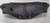 1997 to 2006 Jaguar XK8 XKR X100 Convertible Engine Bay Closing Finishing Plate Cover GJD8874BA