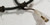 1998-2003 Jaguar XJ8 VDP XJR Front RH LH ABS Wheel Speed Sensor Wire LNC3410AD
