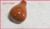 1998 1999 2000 2001 2002 2003 Jaguar XJ8L VDP Wood KNOB