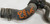 2000 2001 2002 Lincoln LS 3.0L V6 Lower Radiator Coolant Hose to Oil Cooler