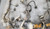 2000 2001 2002 LINCOLN LS V6 3.0L ENGINE FUEL WIRE HARNESS 2W4T-12B6