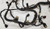 2010 2011 2012 Lincoln MKS 3.5L V6 Engine Wiring AU5T-12C508-CJ Harness AWD Auto Ecoboost