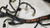 2010 2011 2012 Lincoln MKS 3.5L V6 Engine Wiring AU5T-12C508-CJ Harness AWD Auto Ecoboost